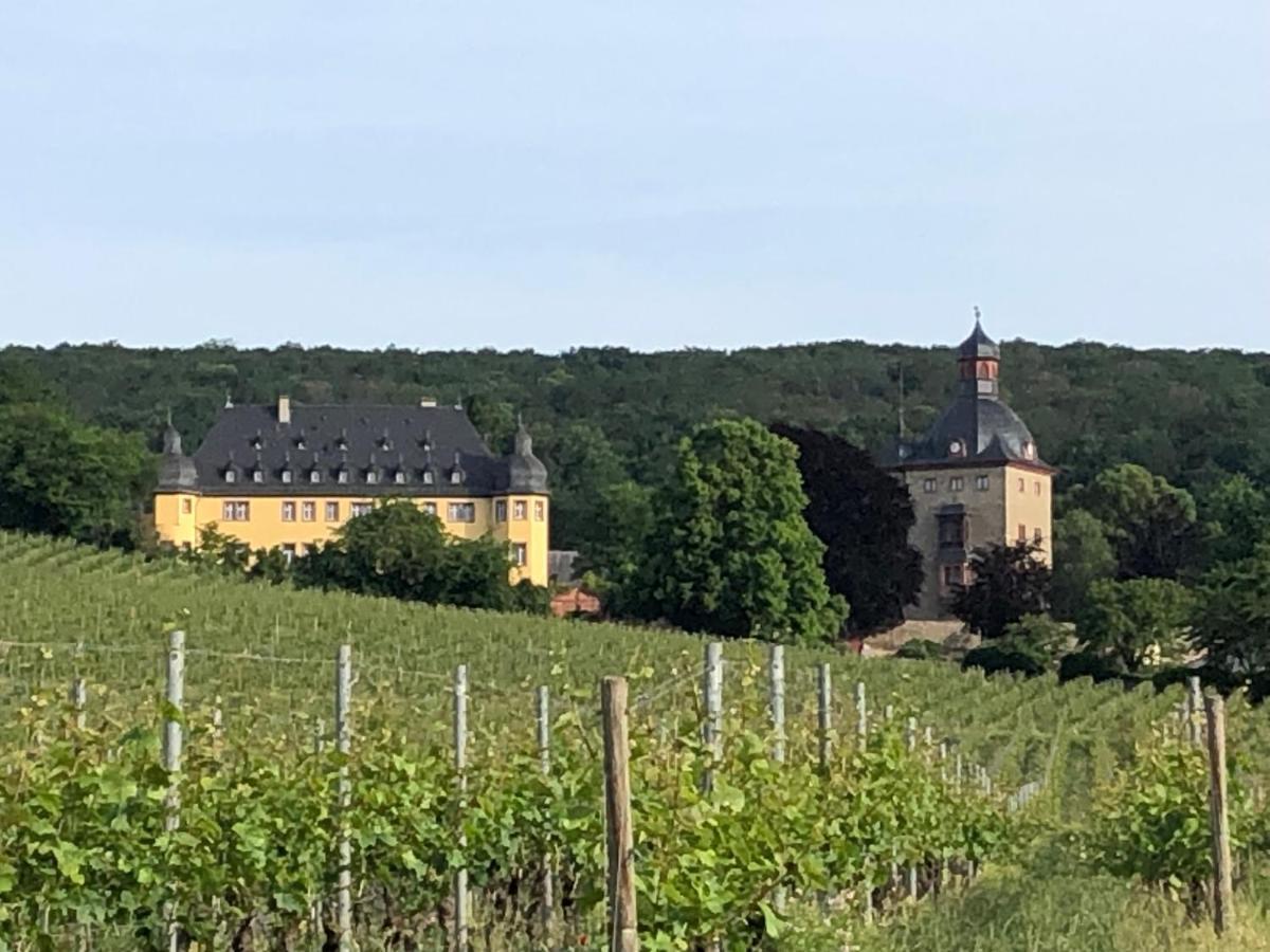 Rheingau Und Weltkulturerbe Mittelrheintal Erleben - Ferienappartement In Winkel Oestrich-Winkel Exterior foto